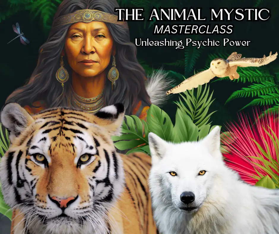 Animal Mystic Masterclass