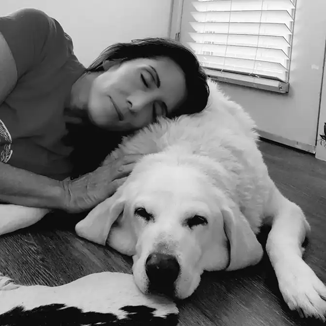 Animal Reiki photo 18