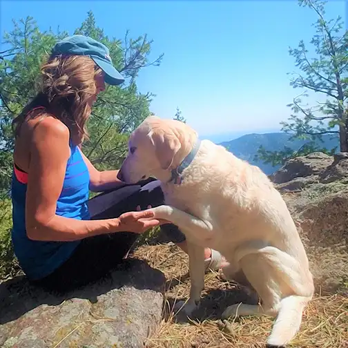 Animal Reiki photo 15