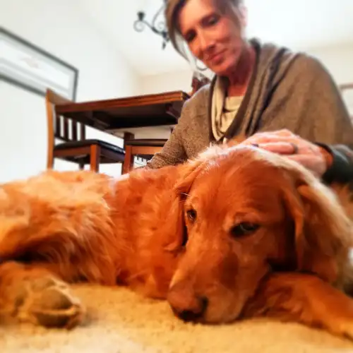 Animal Reiki photo 7