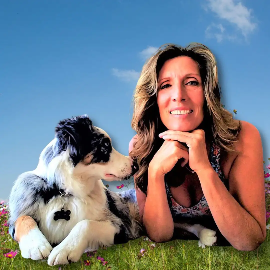 Messages from the Rainbow Bridge: An Intro to Animal Mediumship