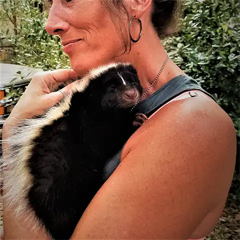 Animal Reiki photo 2