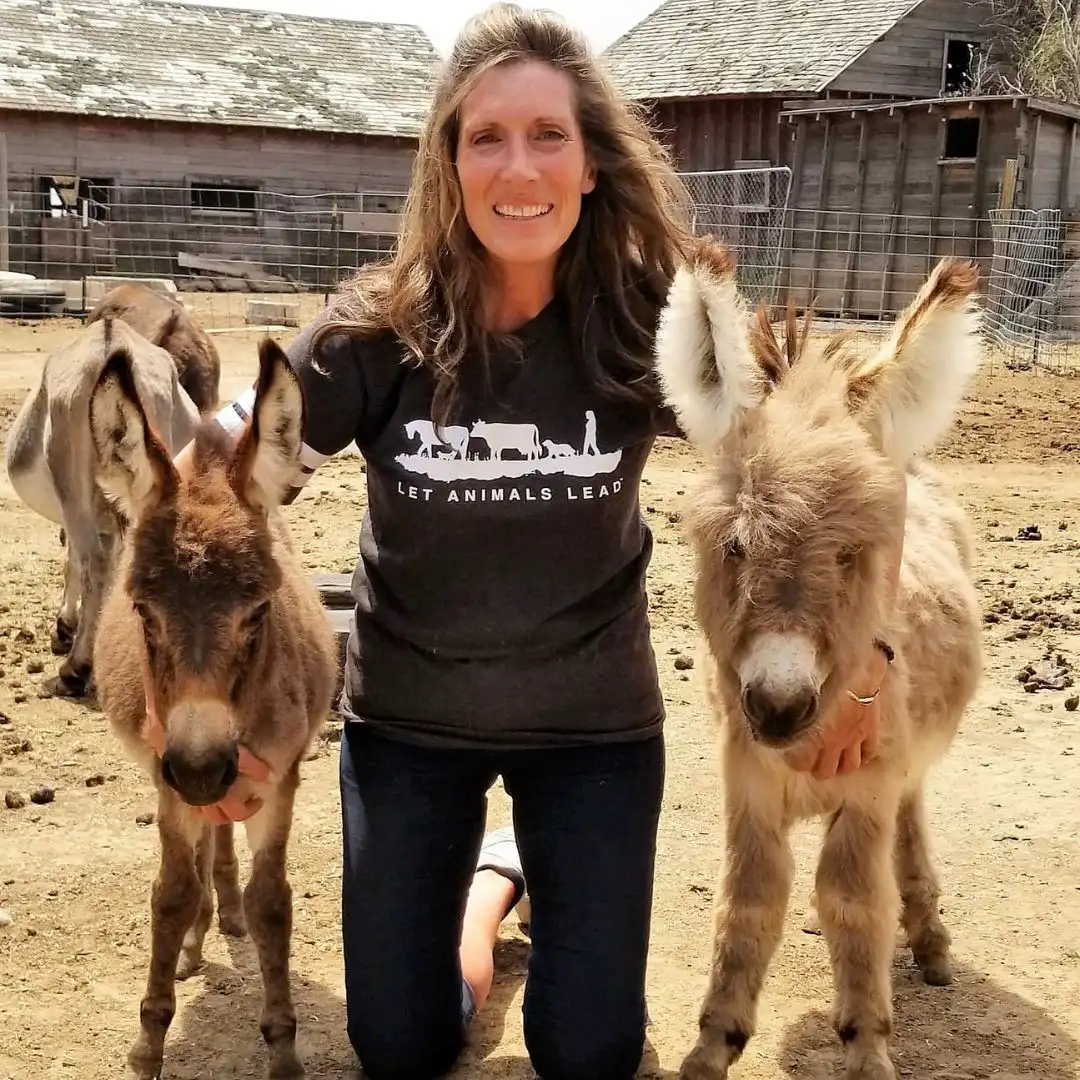 Animal Reiki photo 3