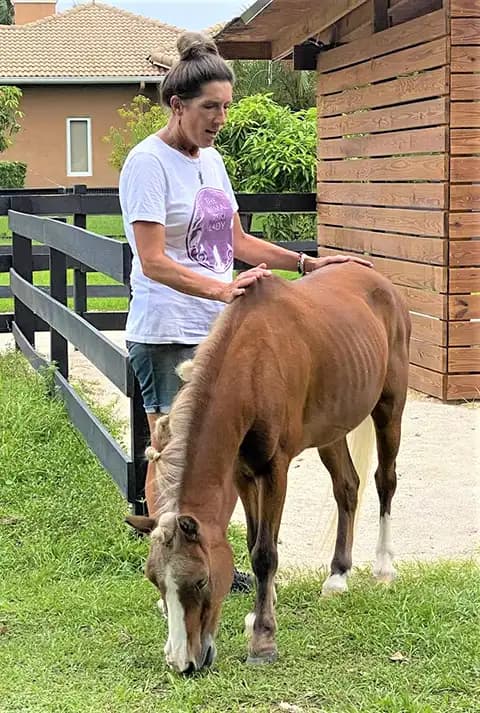 Animal Reiki photo 9