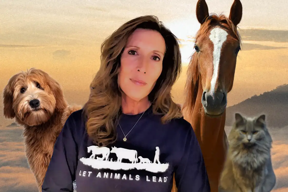 Elaine McCarty, Animal Reiki Lady